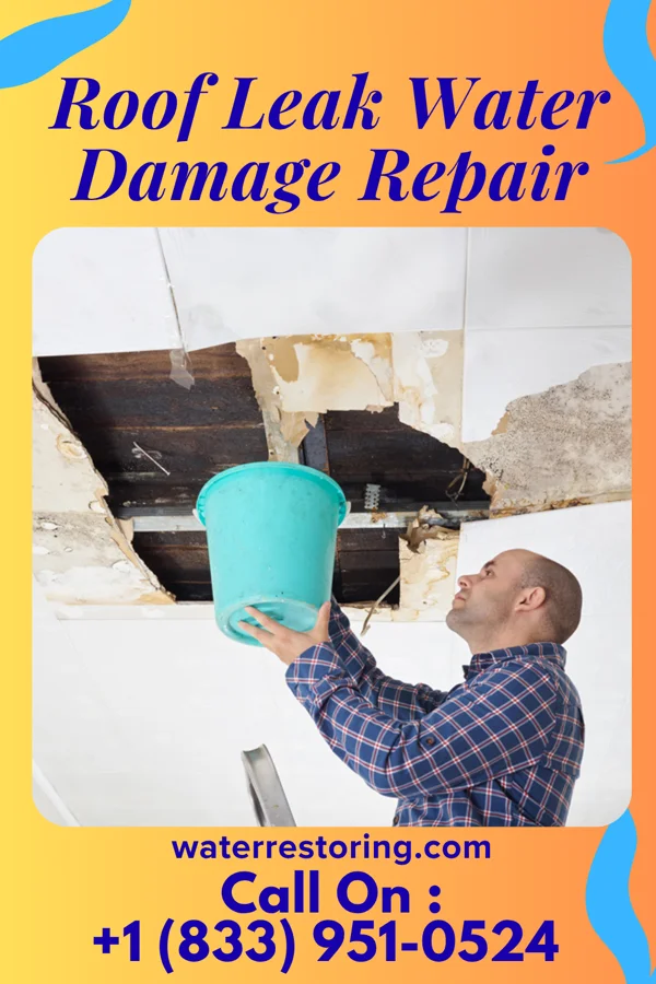 Roof Leak Water Damage Repair in Dietrich, ID